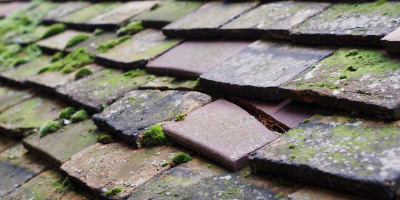 High Wickham roof repair costs